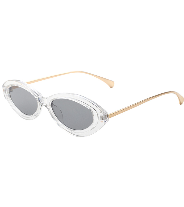 Fashion Oval Shape Ladie's Sunglasses