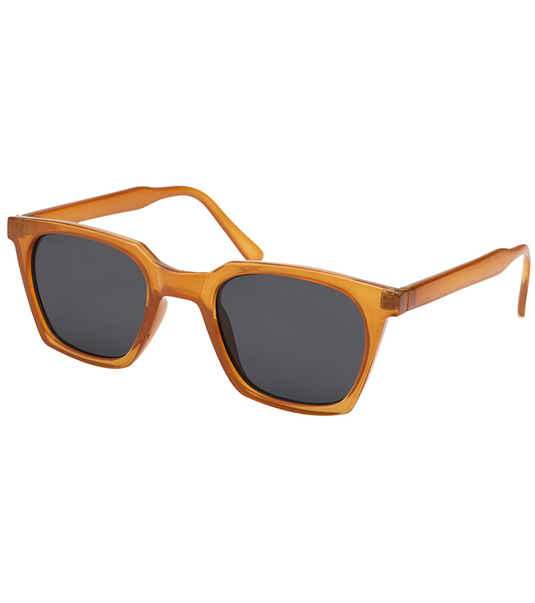 Men's PC Wayfarer Sunglasses